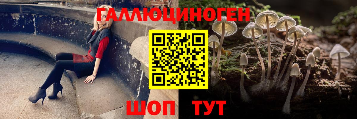 Галлюциногенные грибы мицелий  Вход с VPN  Губкин 